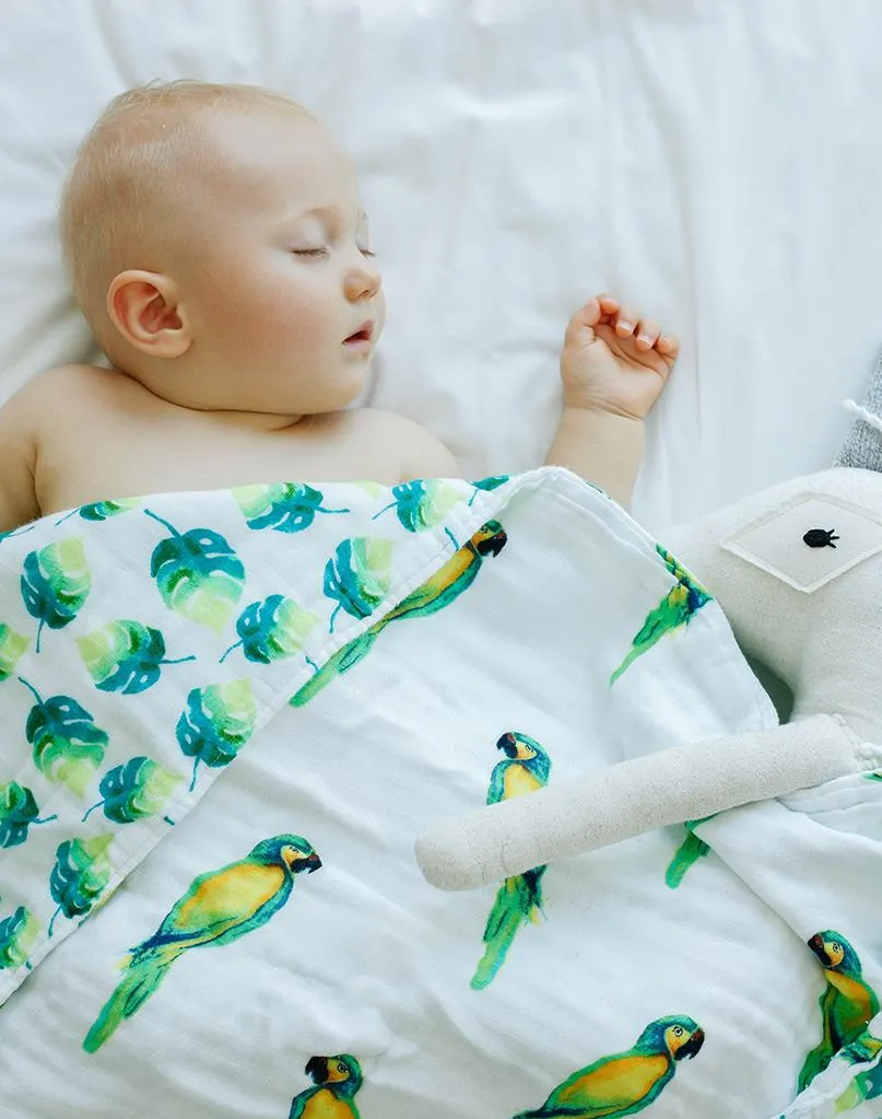 ORGANIC SNUG BLANKET - PARROTS -- Baby Blankets