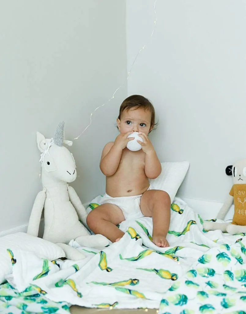ORGANIC SNUG BLANKET - PARROTS -- Baby Blankets