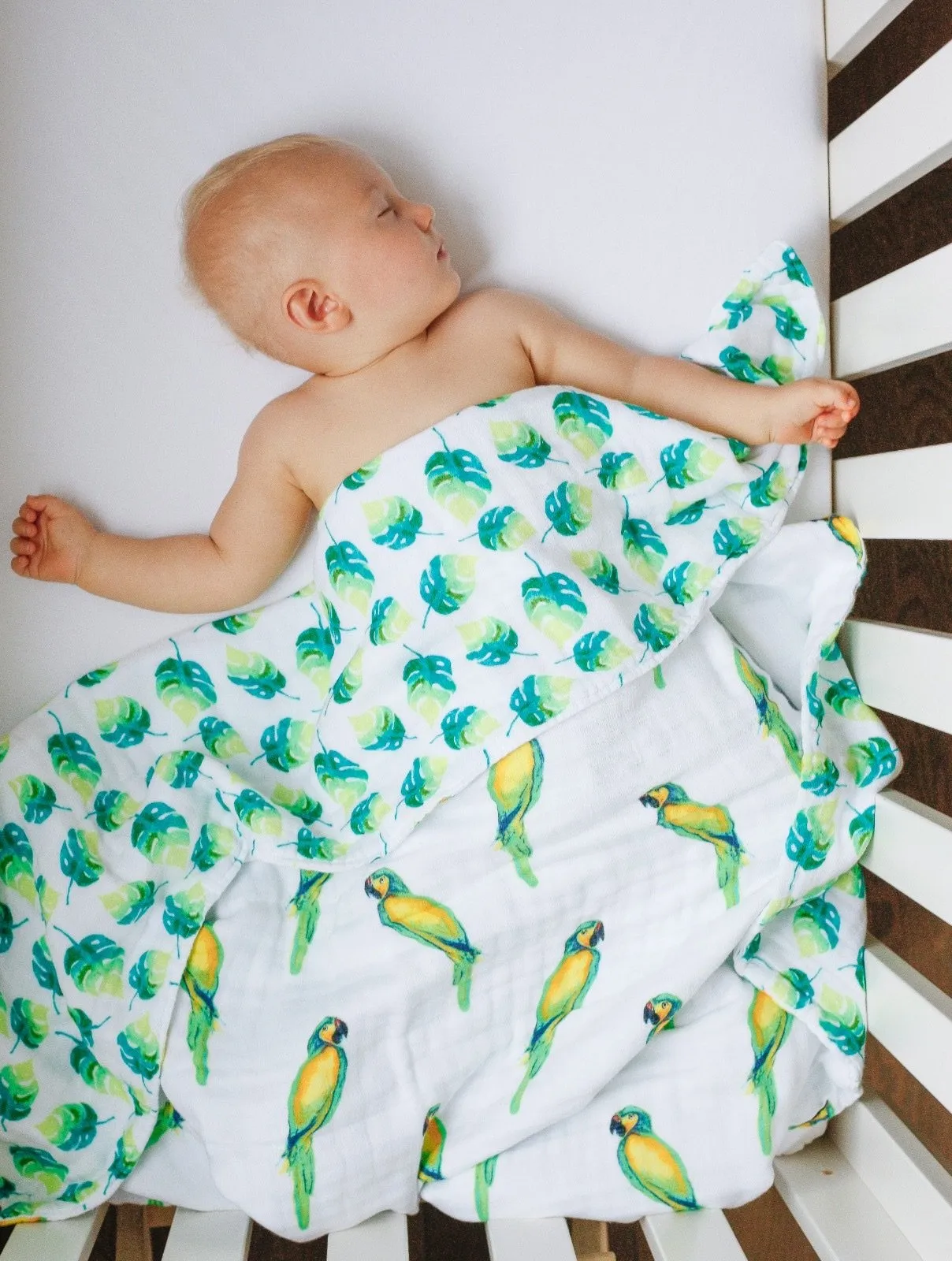 ORGANIC SNUG BLANKET - PARROTS -- Baby Blankets