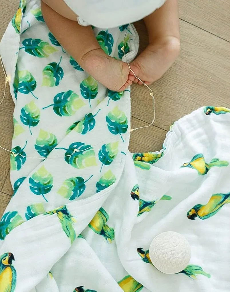ORGANIC SNUG BLANKET - PARROTS -- Baby Blankets